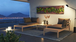 Mira