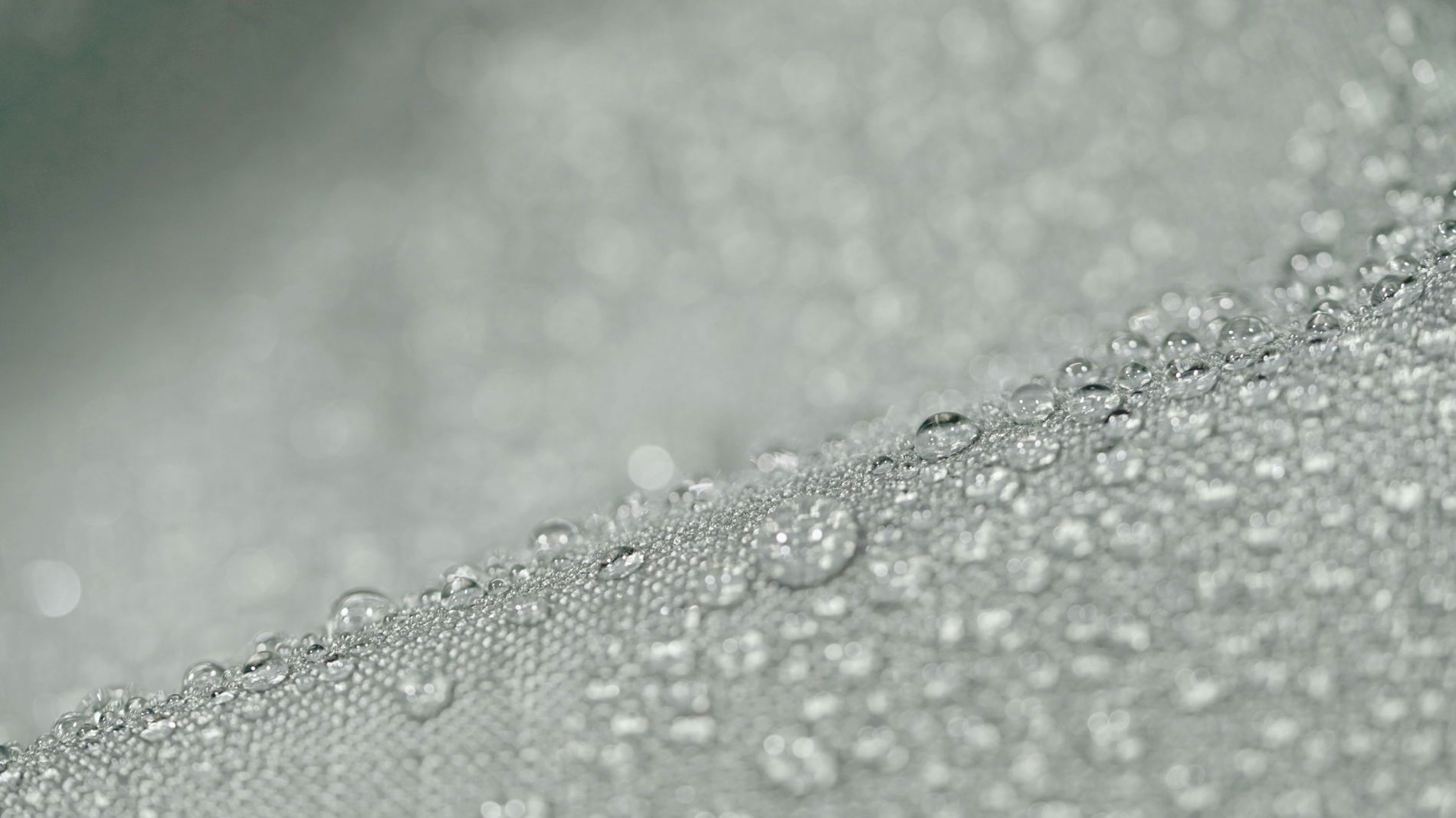 Tuxedo  Wetterschutz